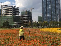 -映月湖中央公园