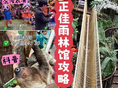-正佳雨林生态植物园