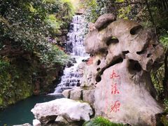 -十八棵（老龙井）御茶园(老龙井店)