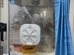 -全心全意连锁动物医院(石景山店)
