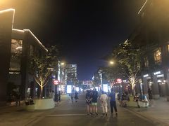 -西湖外事游船(湖滨二公园外事游船码头)