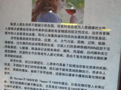 -文成城堡