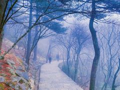 -黄山风景区