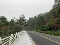 -千岛湖天屿景区