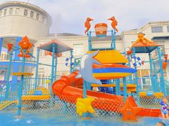 -海合安武汉极地海洋公园