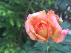 环境-浙江大学(玉泉校区)