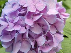 -常州古运河南大街文化旅游区-人民公园