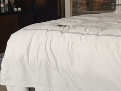 -青岛海尔洲际酒店