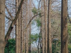 -苏州大学(天赐庄校区)