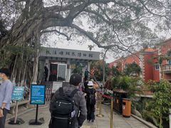 -鼓浪屿钢琴博物馆