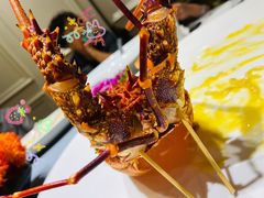 -宝燕壹号(长寿店)