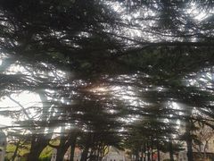 -贮水山儿童公园
