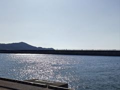 -黑潮市场