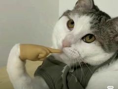 -萨莉亚意式餐厅(南京环亚凯瑟琳广场店)