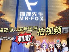 -Mr.Fox狐狸先生超级密室(南山店)