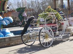 -石家庄市动物园