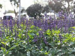 -襄阳烈士陵园(襄城区)