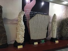 -牟氏庄园