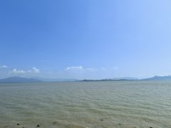 -深圳湾公园(南山区)
