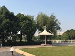 -新江湾城公园