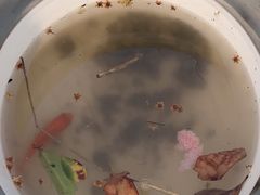 -暮谷MUGO ·团建聚会·露营烧烤·生日派对·共享菜地