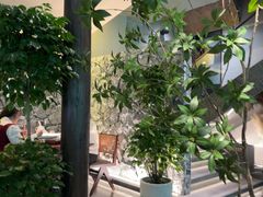 -杏花村水席楼·洛阳水席(老城十字街店)