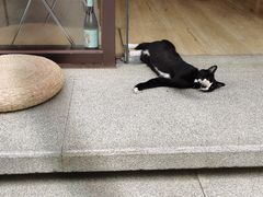 -原麦山丘(东四店)