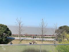 -上海滨江森林公园