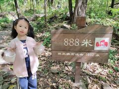 -三块石国家森林公园