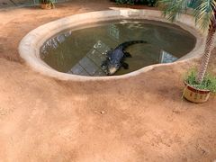 -西霞口神雕山野生动物世界