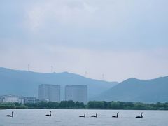 -长兴太湖图影湿地文化园