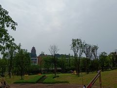 -铁山坪森林公园