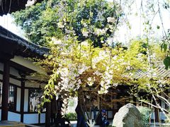 -西安青龙寺遗址景区