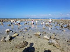 -三亚西岛海洋文化旅游区