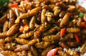 Crispy Fried Silkworm Pupae
