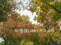 -北陵公园