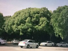 -胜华驾校·小猫学车(银都店)