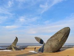 -烟台金沙滩海滨公园