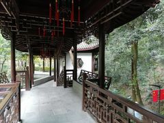 -十八棵（老龙井）御茶园(老龙井店)