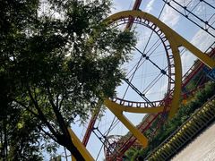 -辛玛王国游乐园