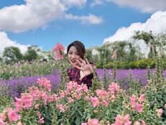-紫颐香薰山谷景区