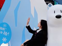 -海合安成都极地海洋公园