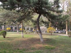 -辽宁大学(崇山校区)