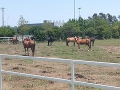 -长兴岛郊野公园农场食堂