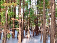 -东湖落雁景区