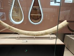 -中国民族乐器博物馆