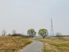 -渭河城市绿地运动公园