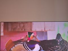 -JMGO坚果投影(长宁龙之梦店)