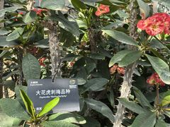 -国家植物园南园