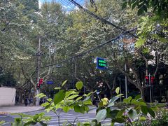 -夏朵花园(复兴西路店)